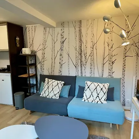Maisonnette Dans Jardin Partagé Appartement Bois-Colombes